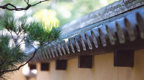 Hidden Kyoto E-Biking tour Day Tours