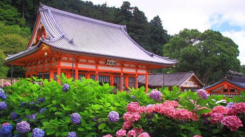 Osaka Katsuo Sacred Site + Otagi Nenbutsu-ji Temple + Kyoto Arashiyama Day Tour, Spirited Away Inspired Day Tours