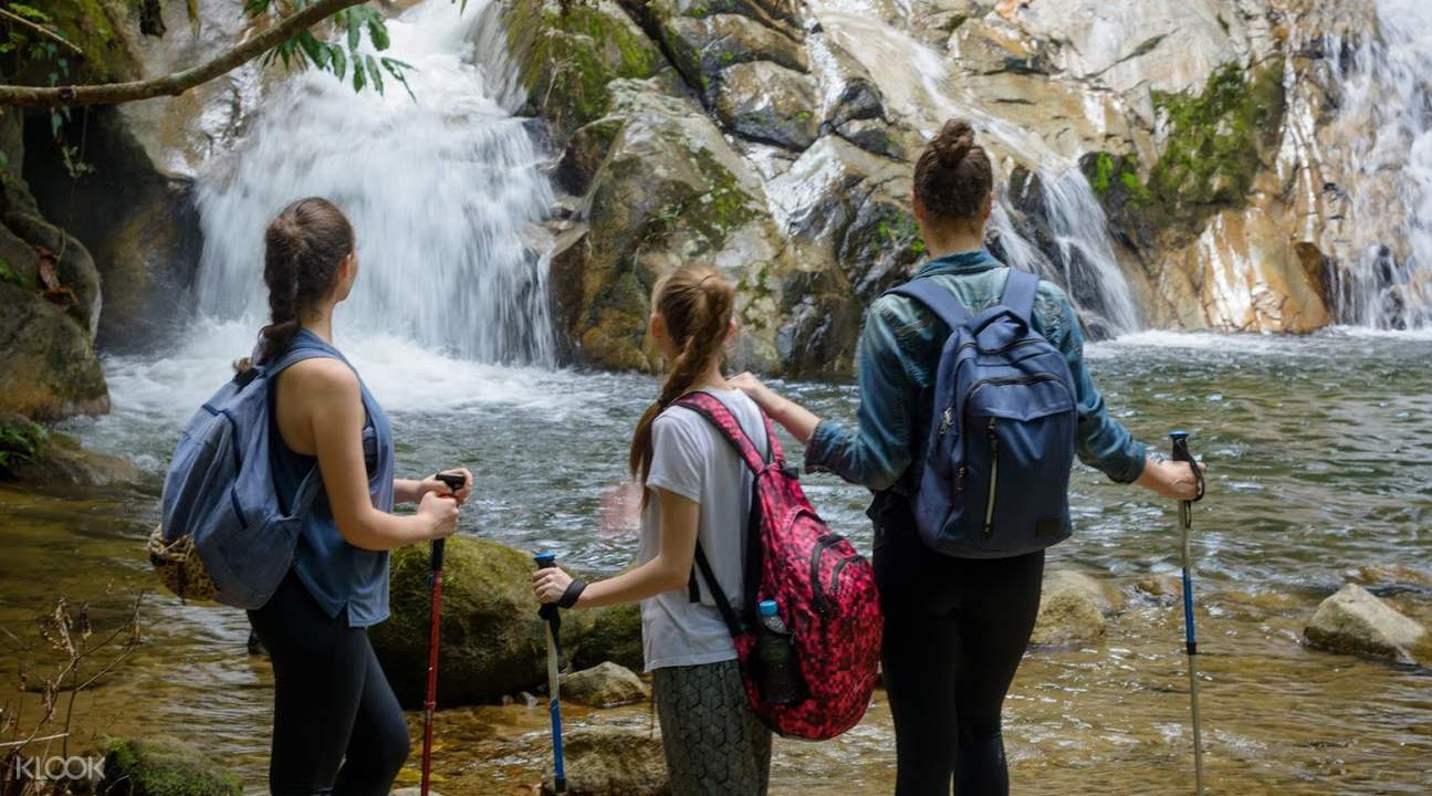 Hike and Swim in Rainforest Waterfalls Half-Day Tour