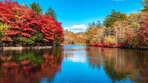 1-day tour from Tokyo to Karuizawa and Kawagoe Hikawa Shrine Day Tours