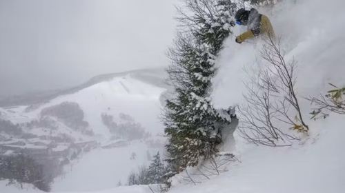 Shiga Kogen Mountain Resort 18-Ski Area Pass Early Bird Ticket