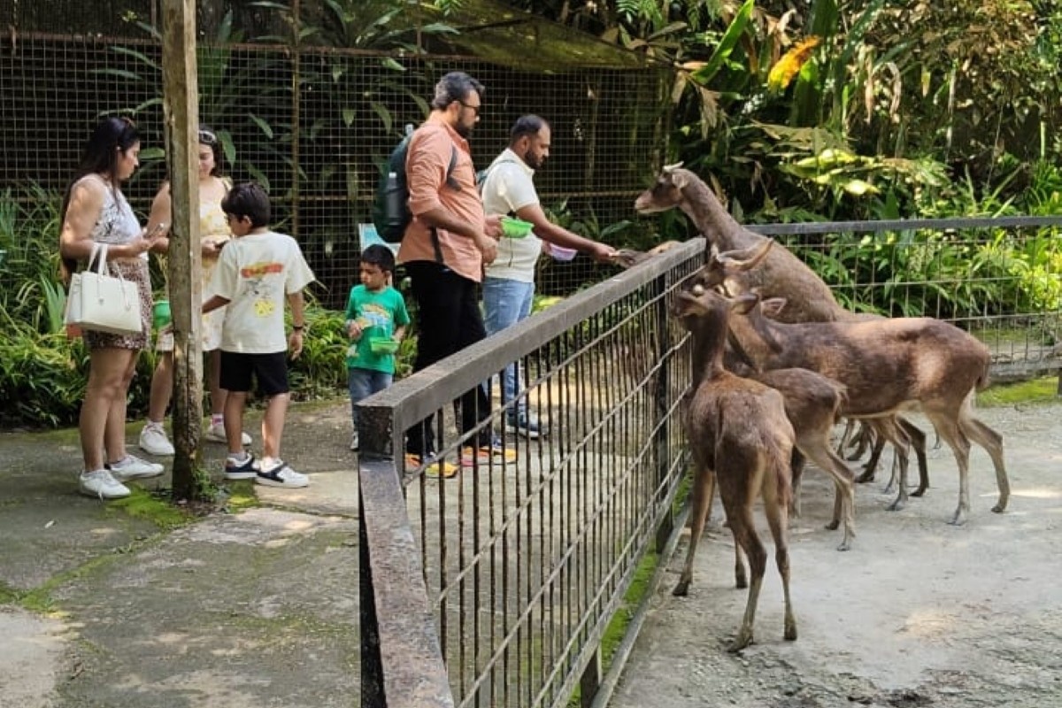 Elephant Sanctuary Tour with Deerland Visit