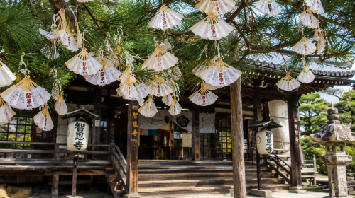 1-day tour to Amanohashidate, one of Japan's three scenic views & Ine no Funaya in the sea of Kyoto