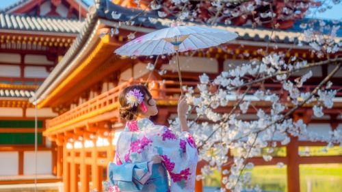 Nara Park + Uji 1-day tour, feed adorable deer, taste matcha, admire maple leaves