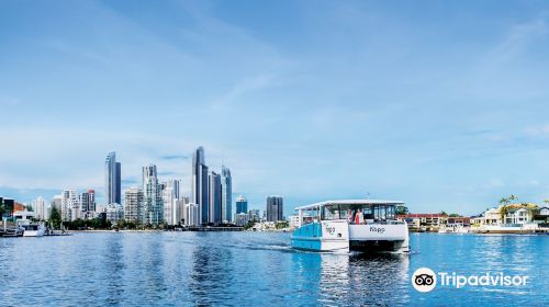 Hopo Gold Coast Ferry