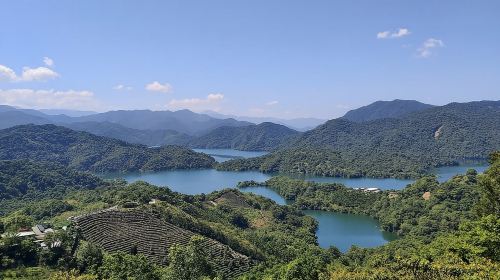 Pinglin Tea Culture & Maokong Day Tour from Taipei Day Tours