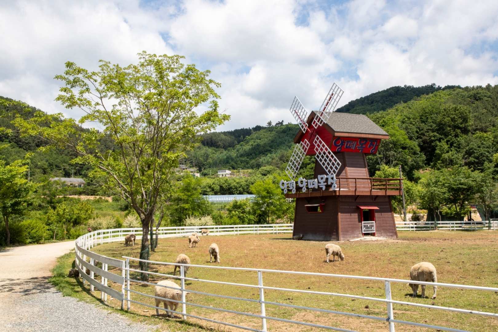 Yangpyeong Sheep Ranch + The Greem Botanical Garden and Dumulmeori One Day Tour