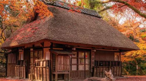 Private chartered tour to Osaka, Fushimi Inari Taisha, Kiyomizu-dera Temple, Nara Park and Sannen-zaka & Ninen-zaka Day Tours