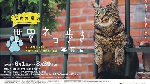 Tokyo Fuji Art Museum Admission Ticket + Special Exhibition (when being held)