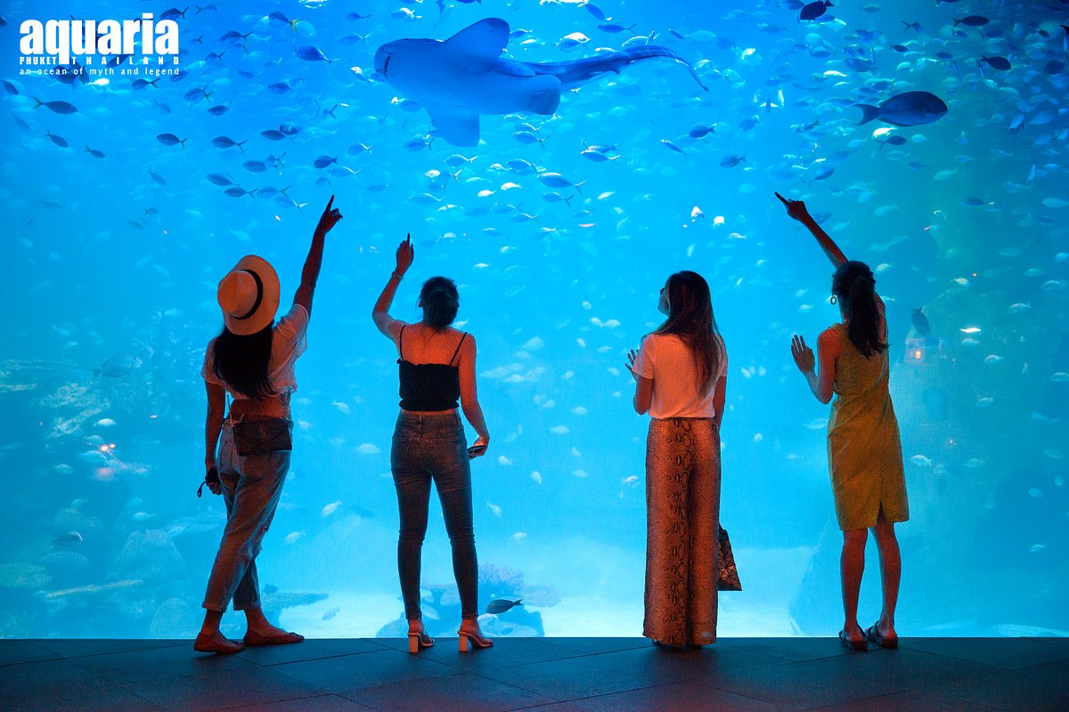 Aquaria Phuket - Thai Resident (Incl Expats)