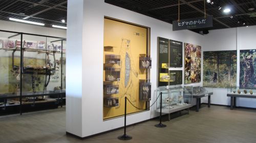Tour Image 1