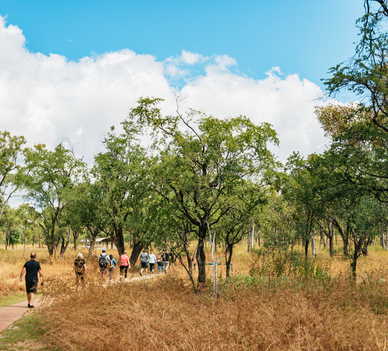 From Cairns: Chillagoe Caves and Outback Full-Day Tour