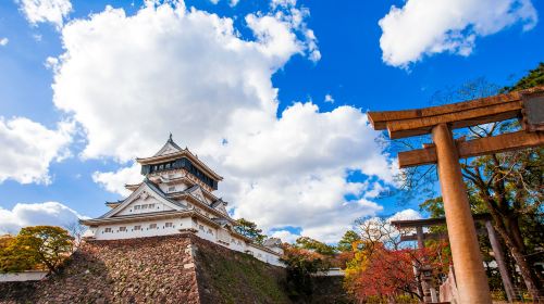 Fukuoka Seafood Market & Local Flavors Day Tour with Dazaifu