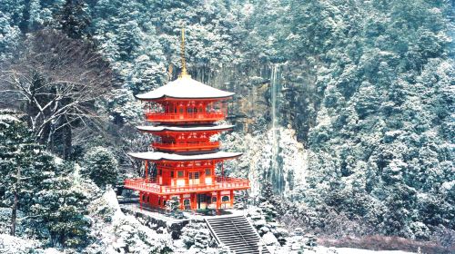 1-day tour from Osaka to world heritage Kumano-Kodo Nakahechi pilgrimage route