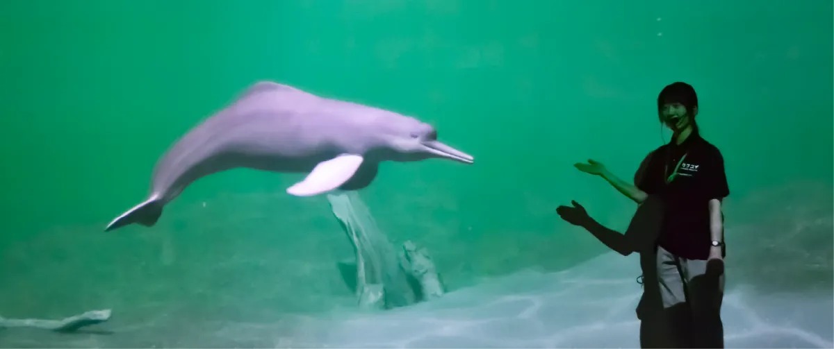 Kawasui Kawasaki Aquarium