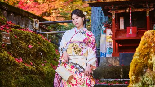 Tokyo asakusa temple lace/furisode/yukata kimono rental with simple hairstyle and complete accessories ruri