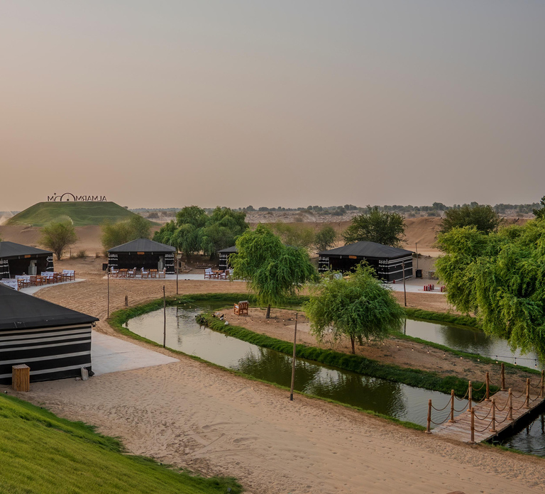 Dubai: Full-Day Desert Safari, Wildlife at Al Marmoom Oasis