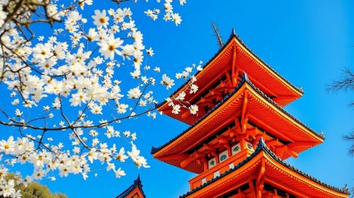 From Osaka Port: Private 10-Hour Kyoto Tour (with Customizable Itinerary)