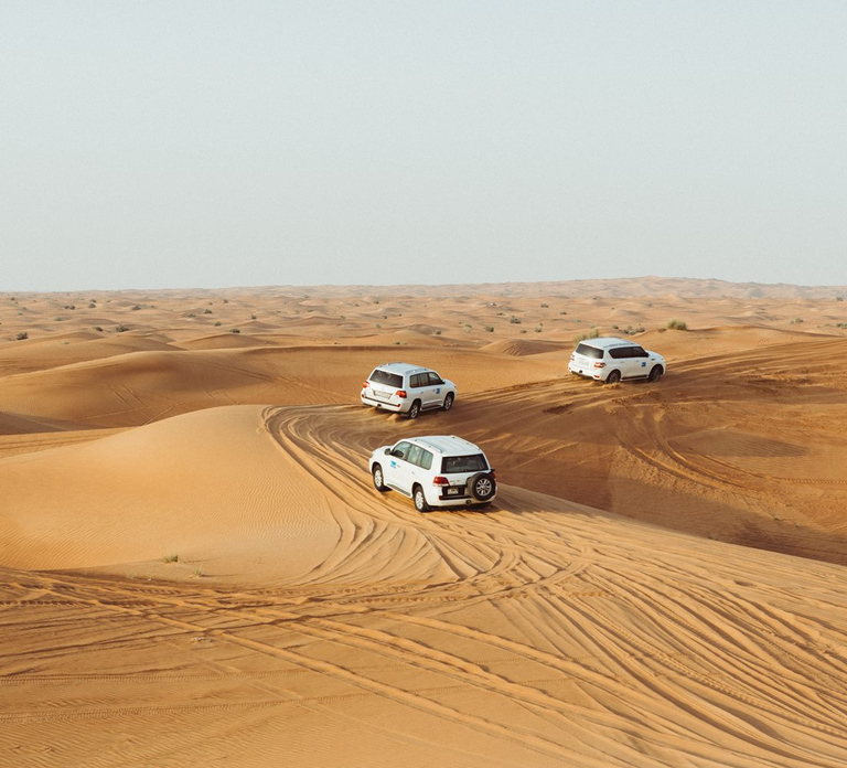Dubai: Desert Safari, Camel Ride, and BBQ Dinner