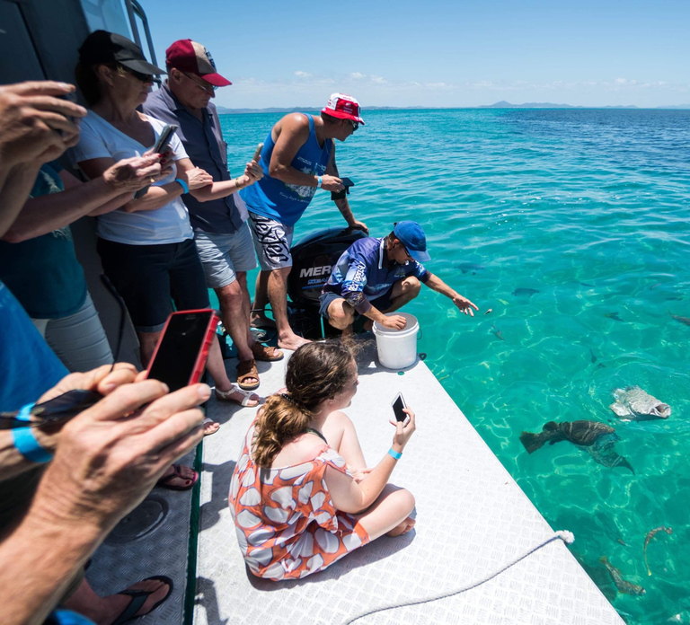 Rosslyn: Great Keppel Island Glass Bottom Boat Tour