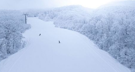 Japan 24 Ski Resorts Lift Pass/1-day Ticket (Distributor Exclusive) 1 account can only place 1 order!