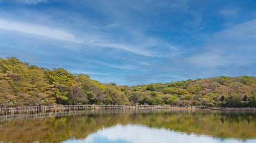 Pocheon 1-day tour: Sanjung Lake + Gukdonggeori Waterfall + Pocheon Herb Island