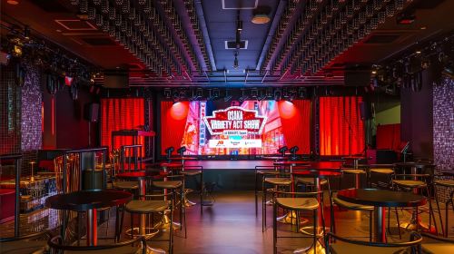 Osaka Variety Show (English Host) – Experience Osaka Nightlife with Various Unique Performances
