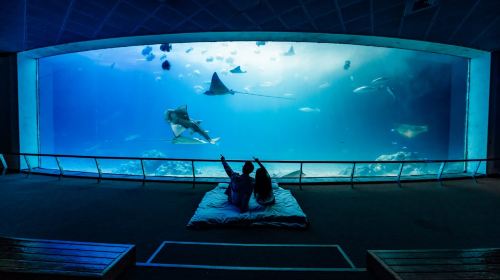 National Museum of Marine Biology & Aquarium