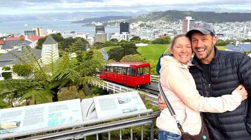 Spectacular Wellington: Half Day Private Sightseeing Tour Day Tours