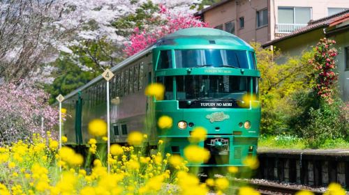 Kyushu Hot Spring Hidden Gems Tour | Beppu + Yufuin Healing Day Trip