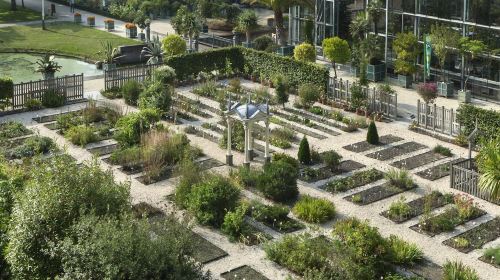 Hortus Botanicus Leiden: Skip The Line Ticket Adult