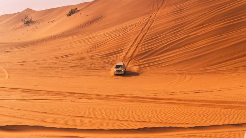 Private Morning Desert Safari up to 6 people Day Tours