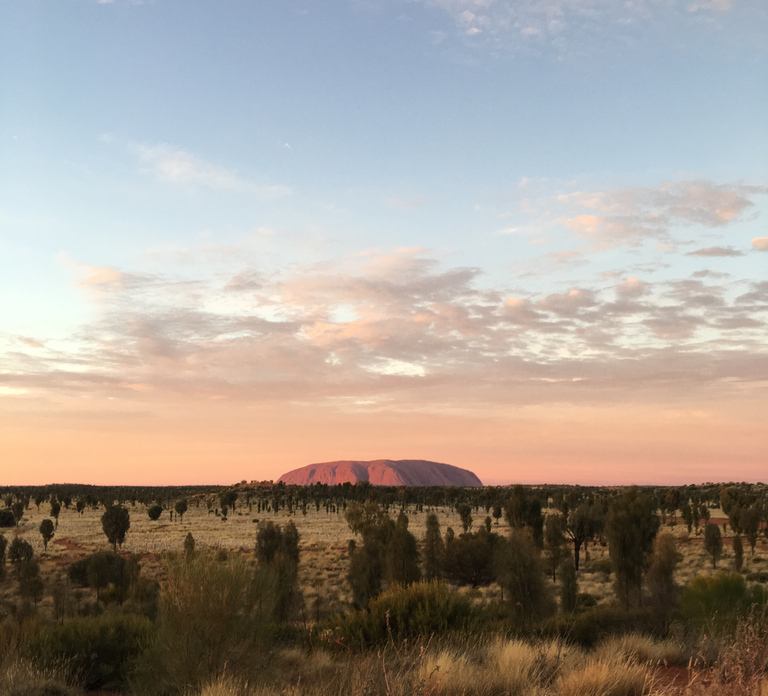 Uluru: Field of Light Sunrise Tour with Hot Drinks