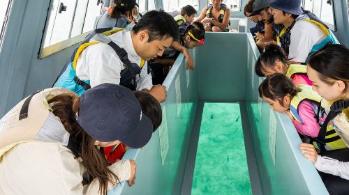 Half-day tour to Mibaru Beach marine park in Okinawa: glass boat, snorkeling, SUP, canoe and fishing experience