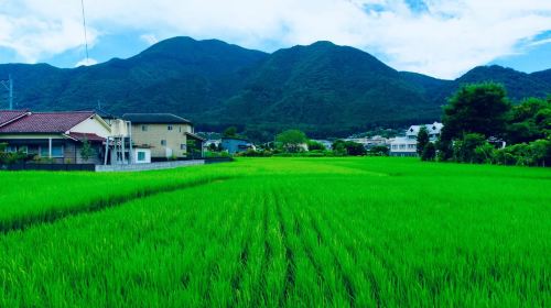 1-day tour to Dazaifu Tenmangu Shrine, Yufuin area town and Beppu in Oita, Kyushu