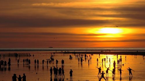 Gaomei Wetland & Taichung Opera House & Zhongshe Flower Market & Miyahara Eye Clinic & Rainbow Village one-day tour Day Tours