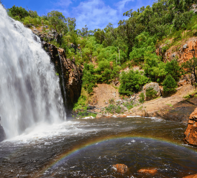 Grampians National Park Small-Group Eco Day Tour