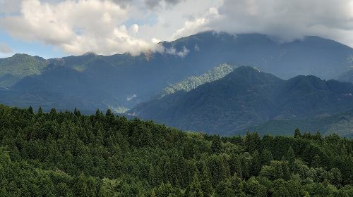 1-Day Tour from Matsumoto: Walk the Nakasendo Trail Day Tours