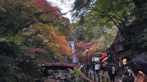 Get to know Minoo from Osaka. Katsuoji Temple, Ryuanji Waterfall and Ryuanji Temple Day Tours