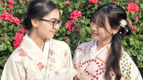 Kimono Rental in Nagoya Sakae