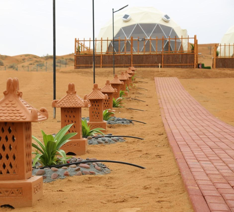 Overnight Desert Camping in Premium Dome with AC & Bathroom