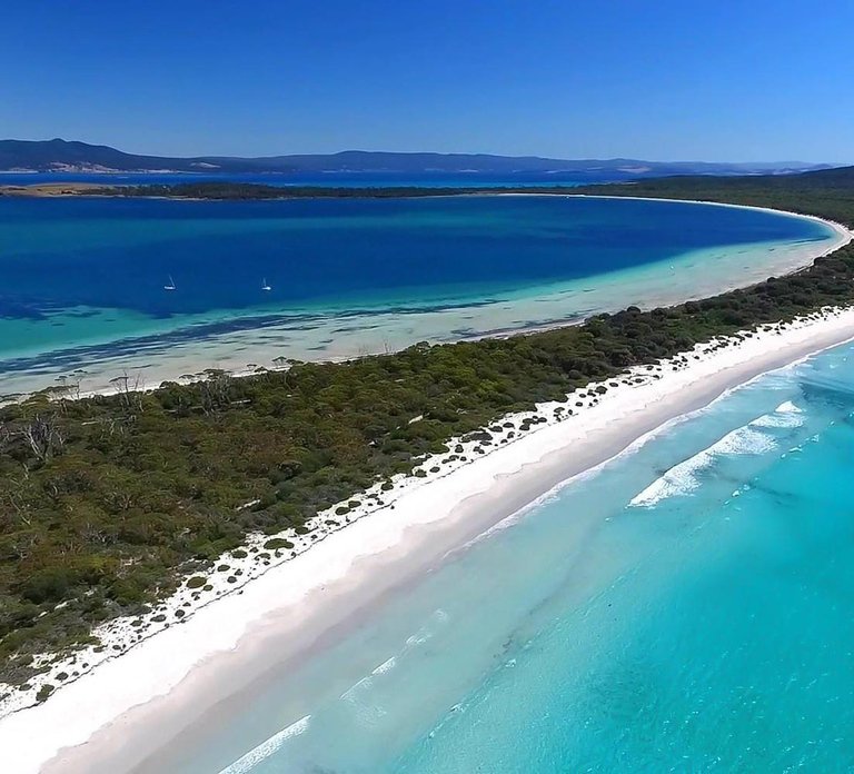 From Hobart: Day Tour to Maria Island with Bus Connection