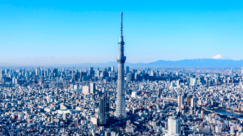Private chartered tour in Tokyo and Izu to Mt. Omuro + Jogasaki Coast + Cactus Park. Customizable itinerary