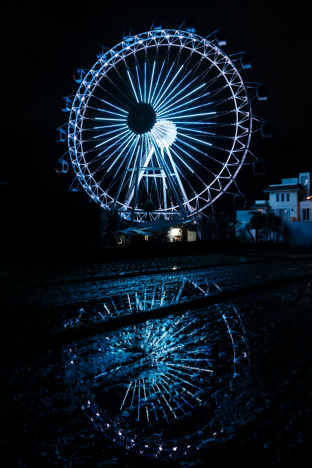 The Wheel Bali