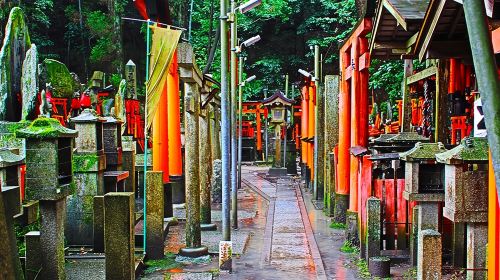 Fushimi Inari Shrine: Explore the 1,000 Torii Gates on an audio walking tour Day Tours