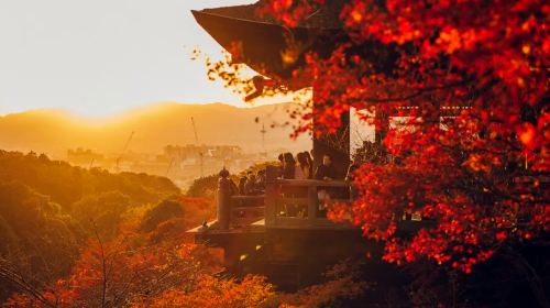One-Day Tour in Kyoto and Nara