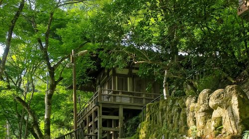 Otagi Nenbutsu Temple and Arashiyama Bamboo Forest Tour Day Tours