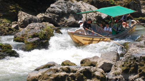 Private charter/transfer/translation in Wakayama/Shirahama with Chinese-speaking driver. Customizable itinerary