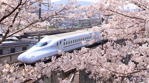 JR Kansai Wide Area Railway Pass 3 Days [For Foreign Residents in Japan] (e-ticket) Transport Passes