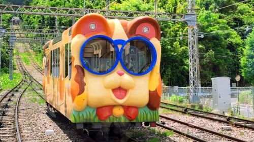 Osaka Departure: Hirakata Park + Nara Deer Feeding Fun Day Tour, Mount Wakakusa, Nara Park Day Tours